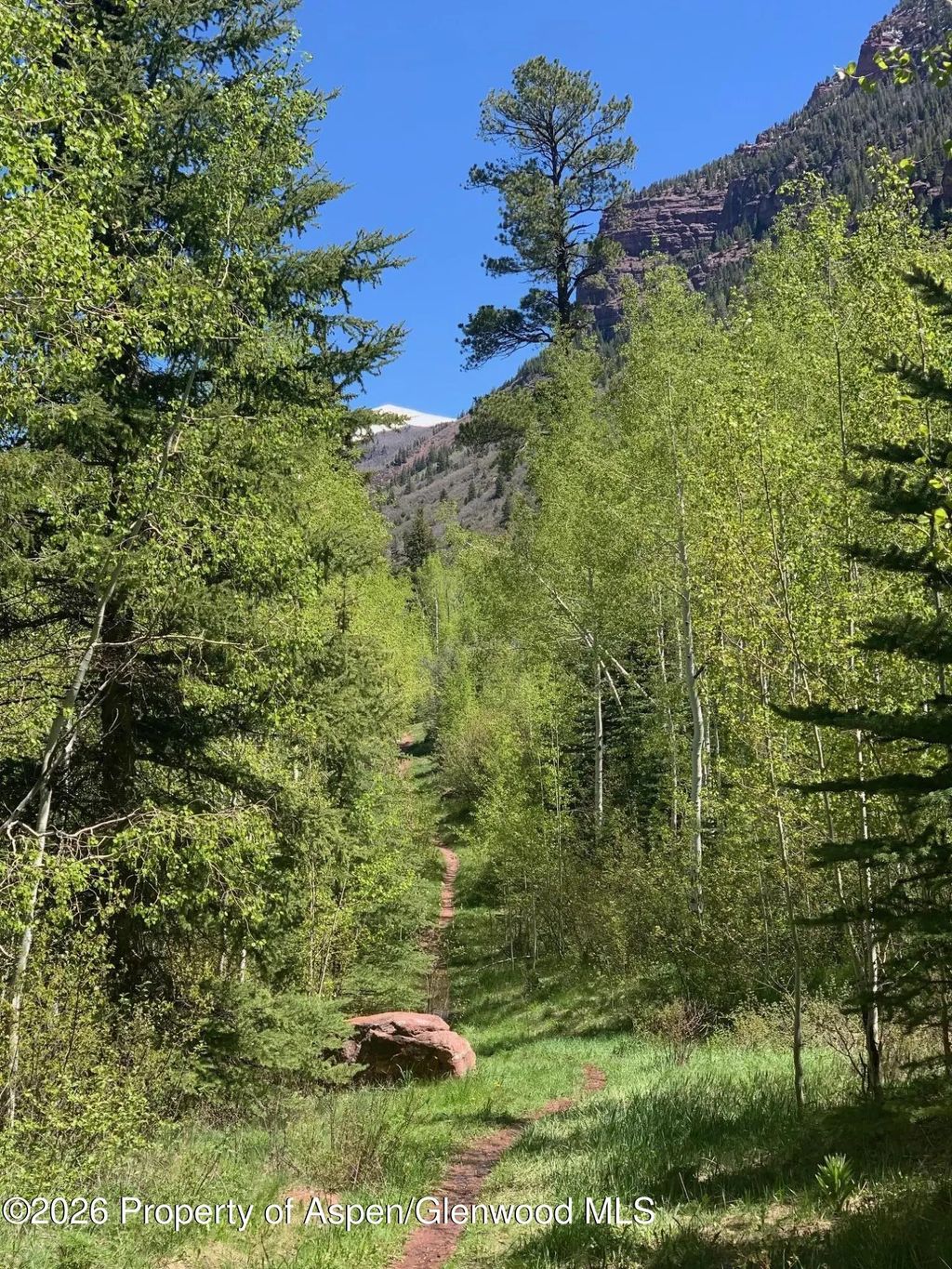 10 of 12 - 315 Fire House Road, Redstone, CO