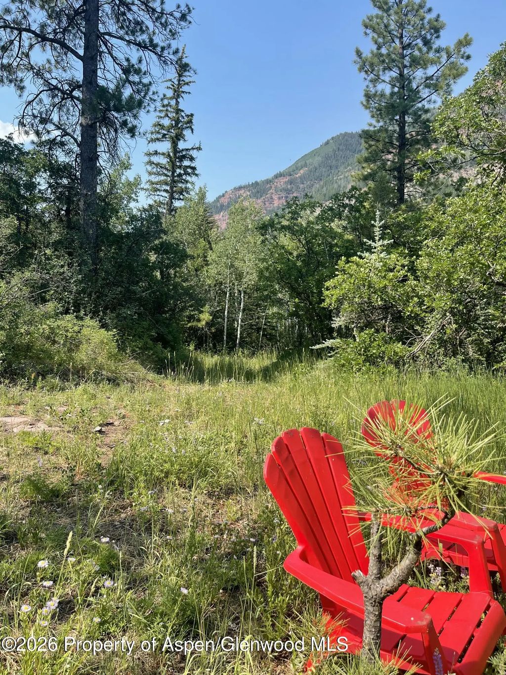 4 of 12 - 315 Fire House Road, Redstone, CO