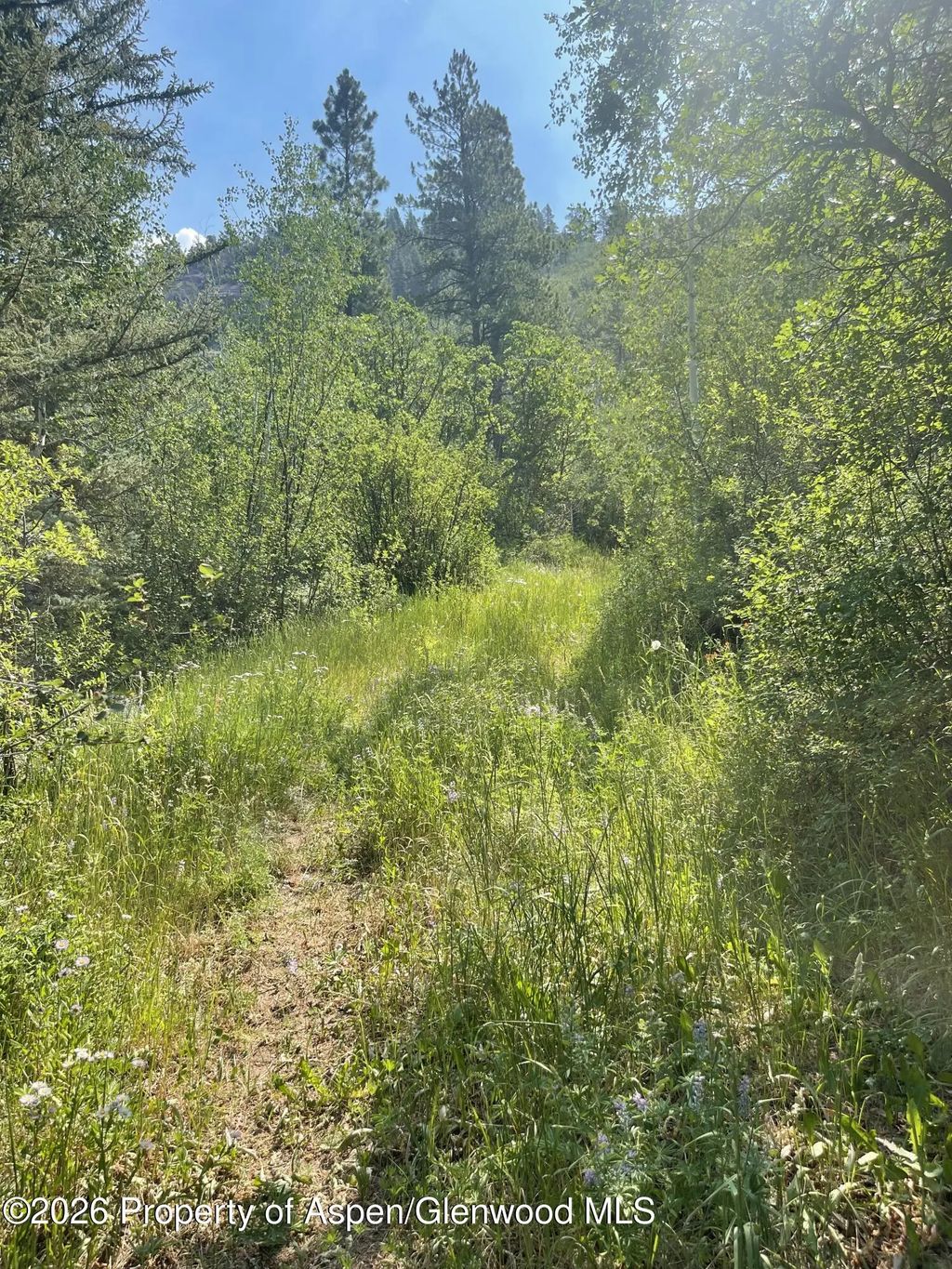 6 of 12 - 315 Fire House Road, Redstone, CO