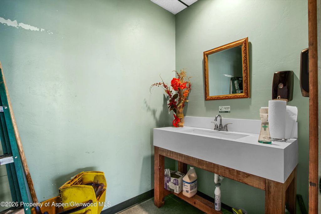 16 of 19 - 995 Cowen Drive 101, Carbondale, CO