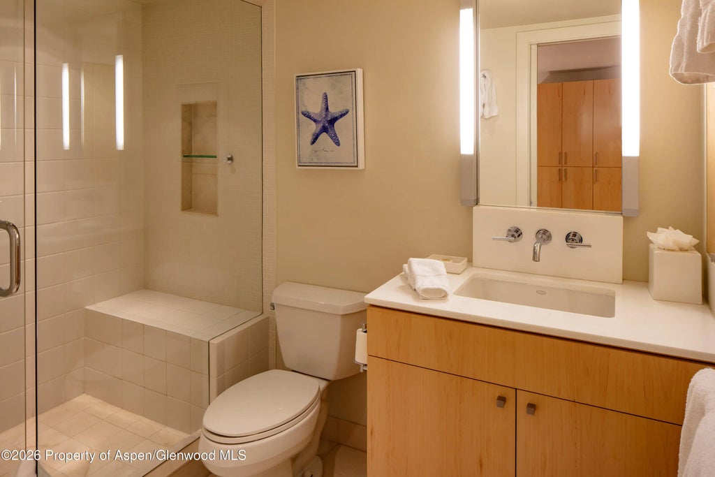 15 of 21 - 506 W Hallam Street, Aspen, CO