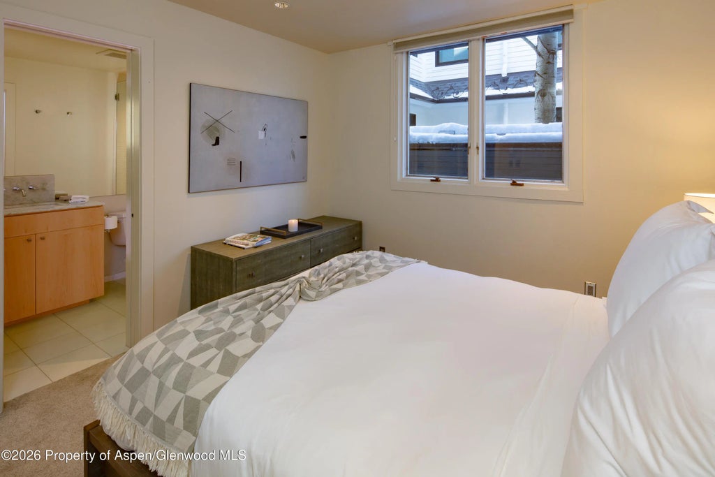 16 of 21 - 506 W Hallam Street, Aspen, CO