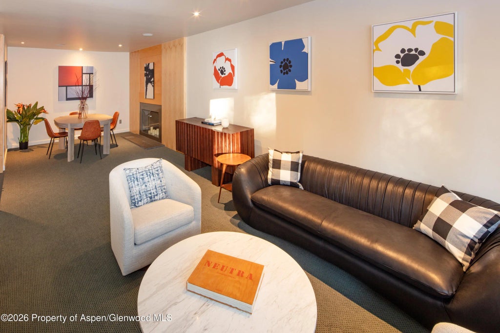 6 of 21 - 506 W Hallam Street, Aspen, CO