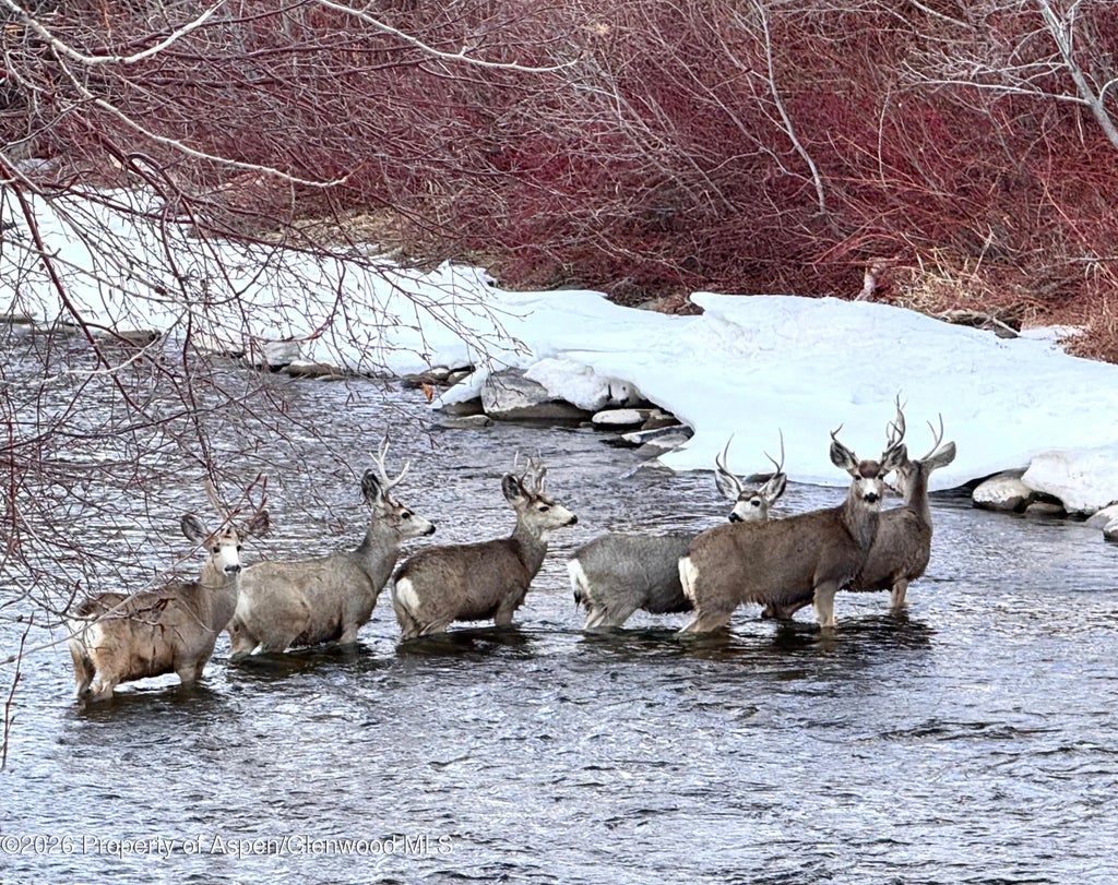 25 of 50 - 304 Waterview Drive, Snowmass, CO
