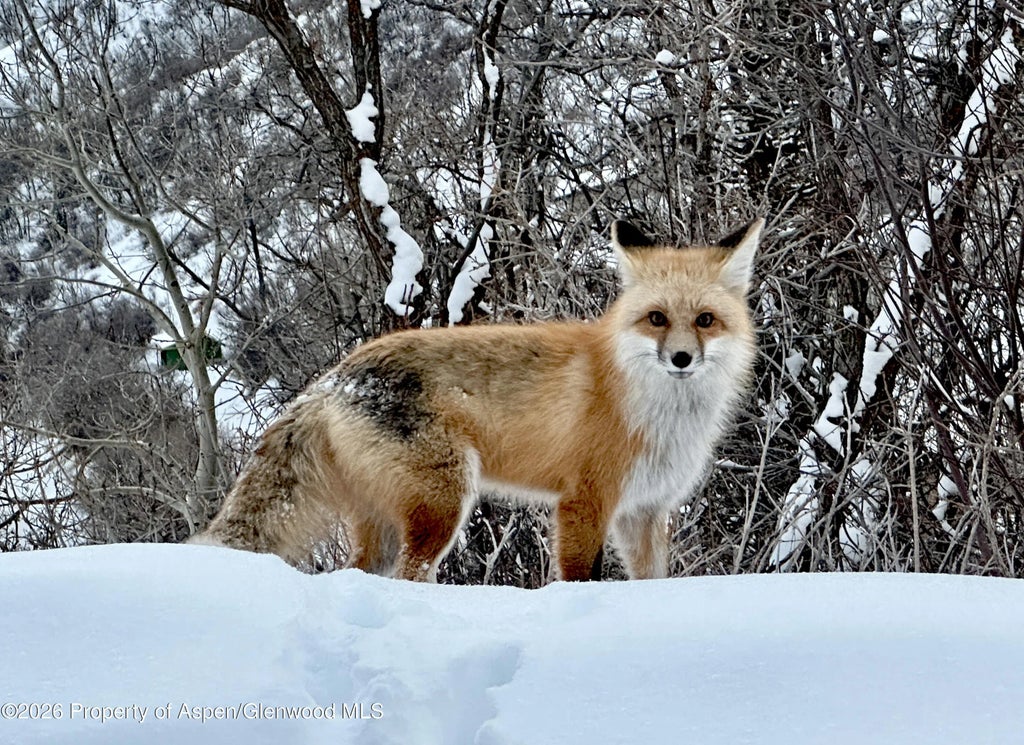 26 of 50 - 304 Waterview Drive, Snowmass, CO