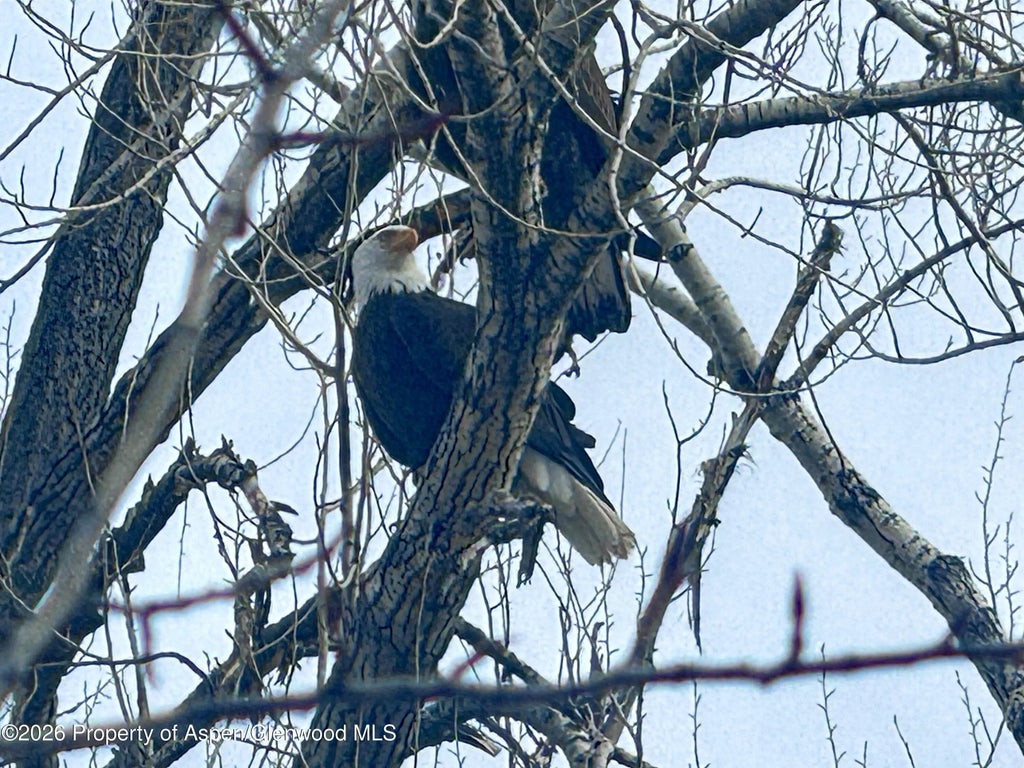 27 of 50 - 304 Waterview Drive, Snowmass, CO