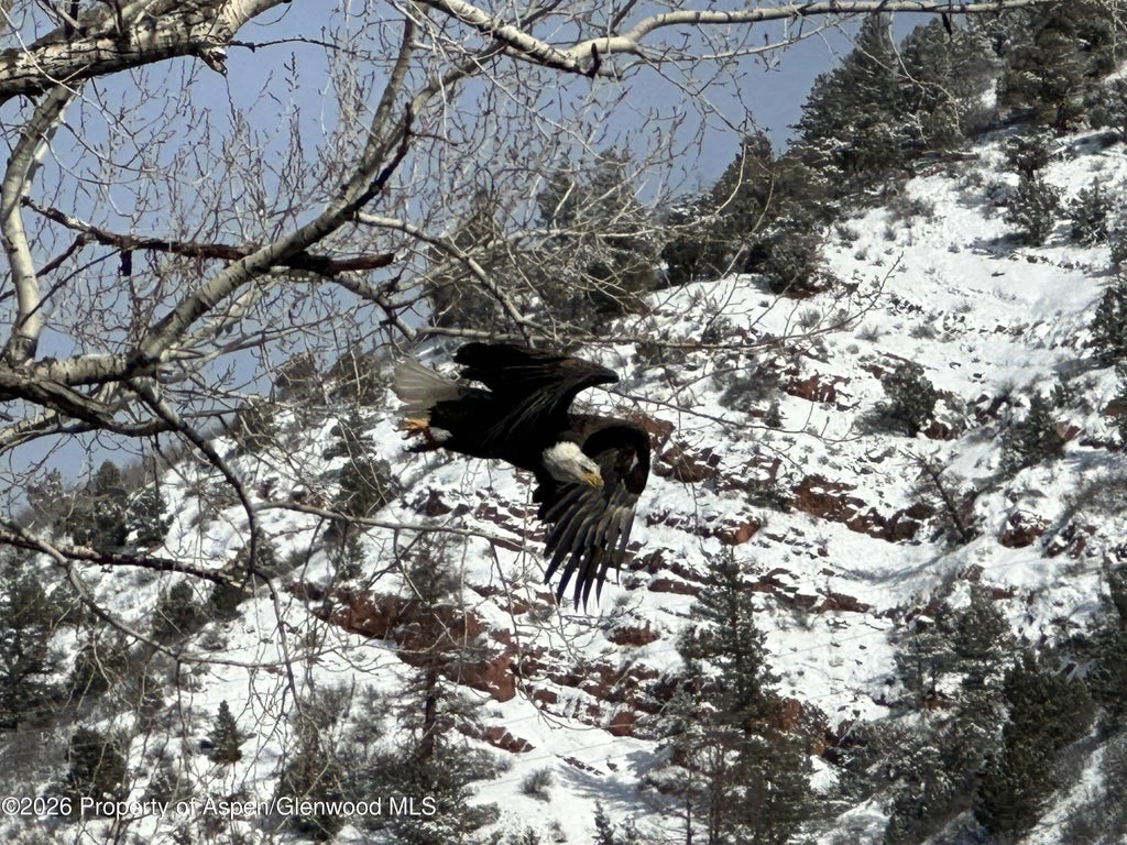 28 of 50 - 304 Waterview Drive, Snowmass, CO