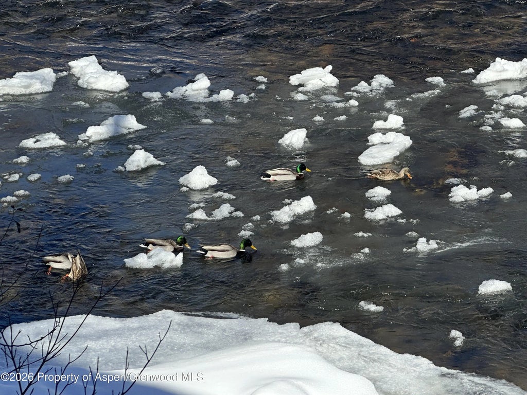 29 of 50 - 304 Waterview Drive, Snowmass, CO