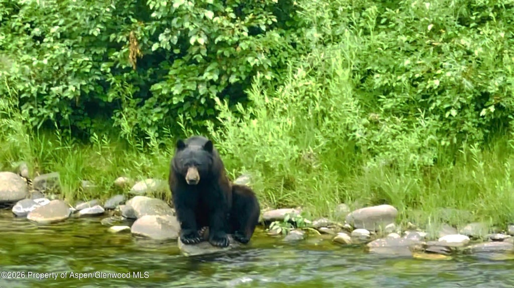 37 of 50 - 304 Waterview Drive, Snowmass, CO