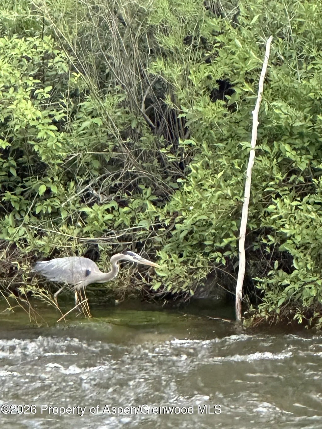 41 of 50 - 304 Waterview Drive, Snowmass, CO