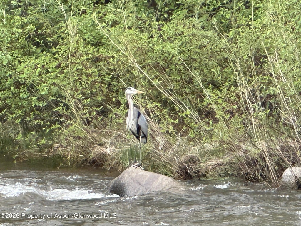 42 of 50 - 304 Waterview Drive, Snowmass, CO