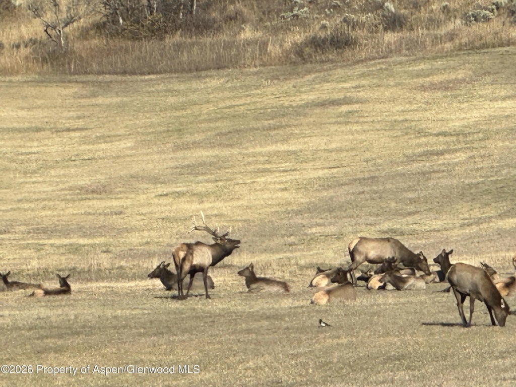 43 of 50 - 304 Waterview Drive, Snowmass, CO