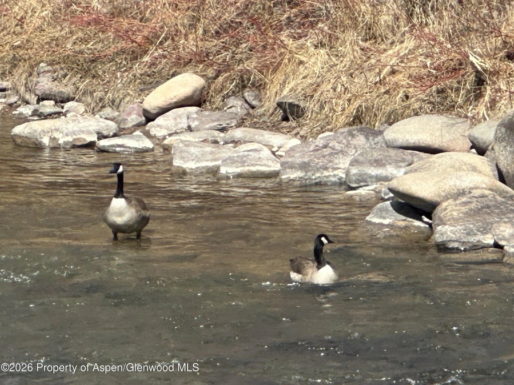 44 of 50 - 304 Waterview Drive, Snowmass, CO