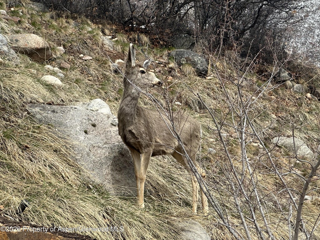 45 of 50 - 304 Waterview Drive, Snowmass, CO