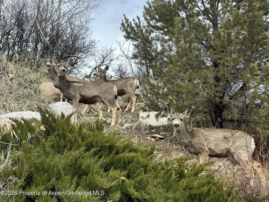 46 of 50 - 304 Waterview Drive, Snowmass, CO