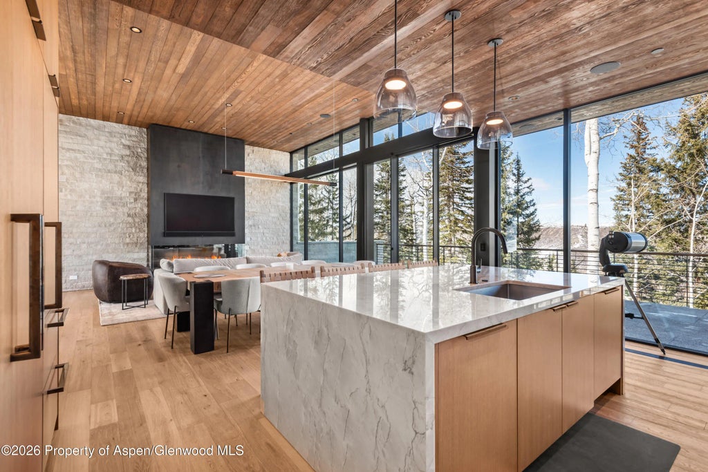 6 of 9 - 99 Forest Lane, Snowmass Village, CO