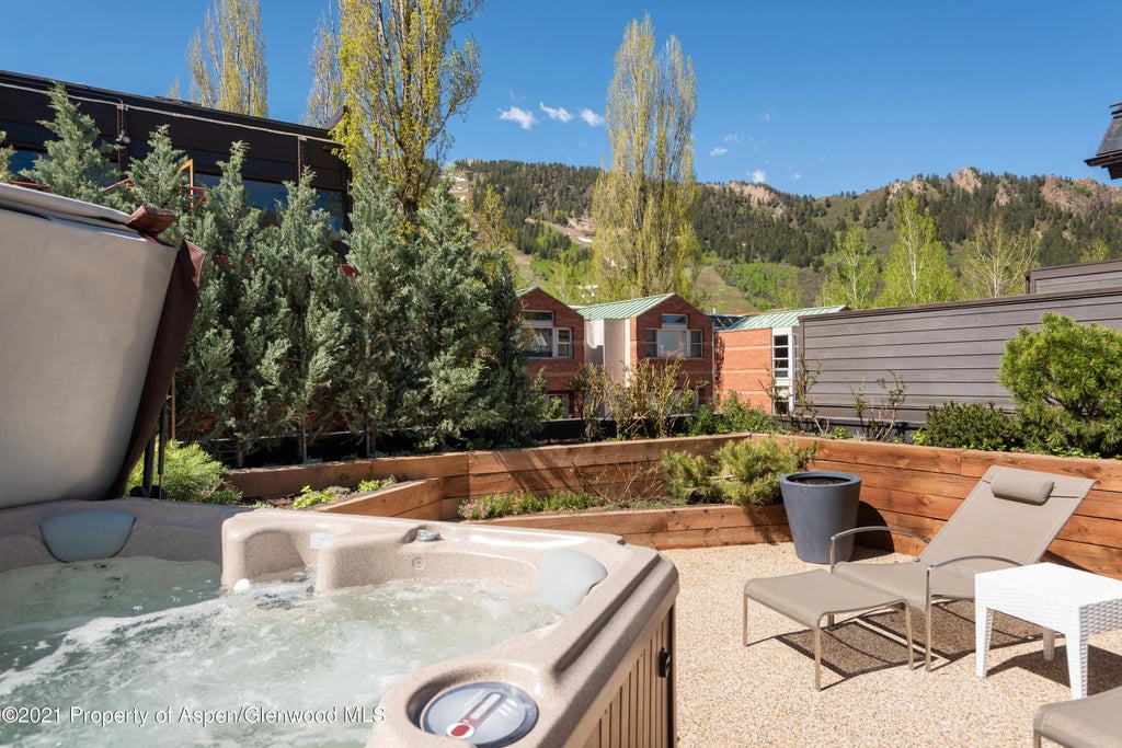 33 of 38 - 727 E Hopkins Avenue A, Aspen, CO