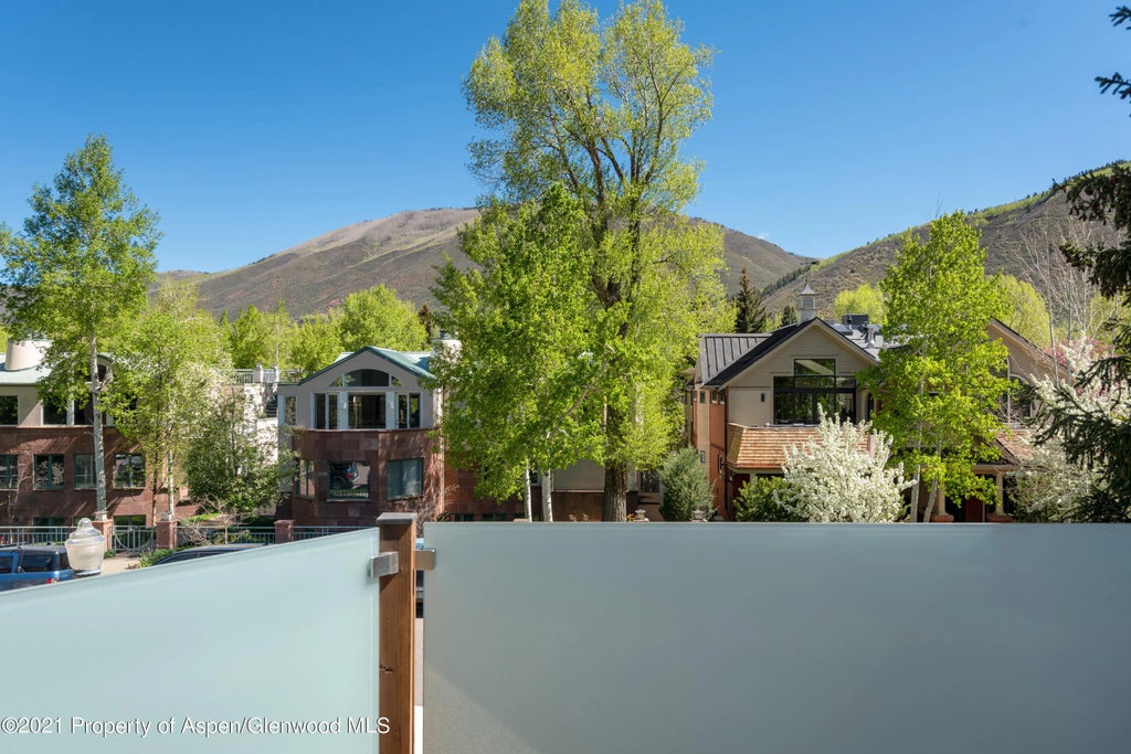 35 of 38 - 727 E Hopkins Avenue A, Aspen, CO