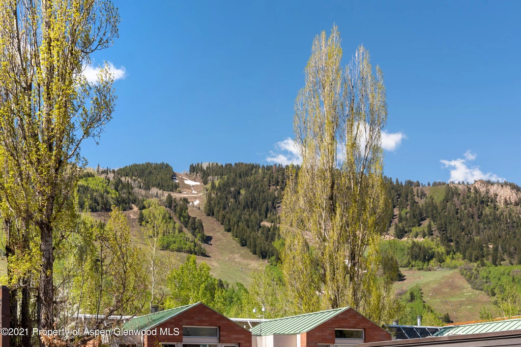 36 of 38 - 727 E Hopkins Avenue A, Aspen, CO