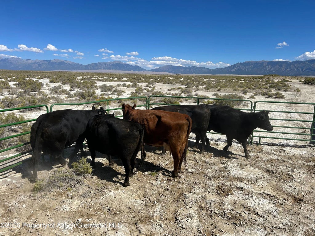 4 of 10 - Tbd Alamosa County Parcel #5139301, Alamosa, CO