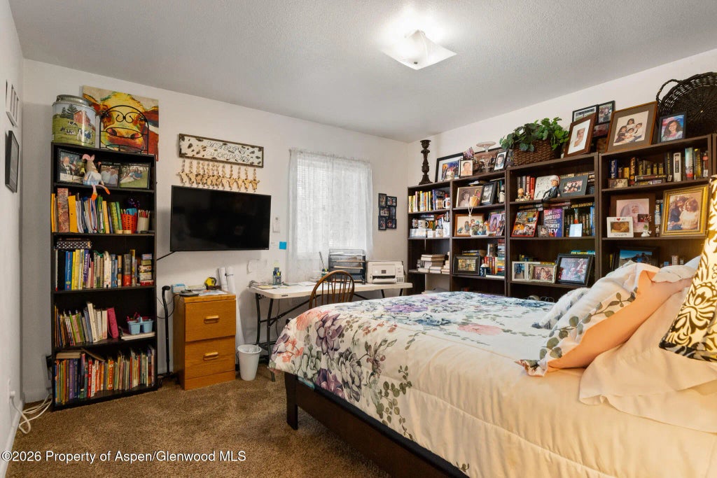 16 of 21 - 3127 Coal Mine Avenue, Rifle, CO