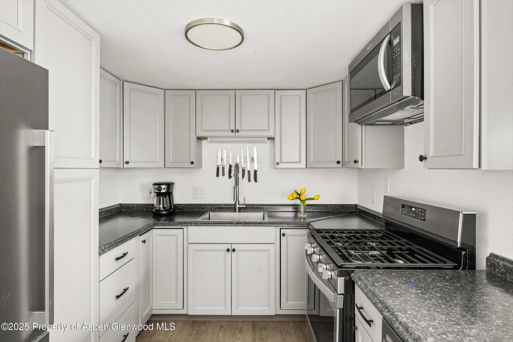 4 of 10 - 156.5 Midland Avenue, Basalt, CO