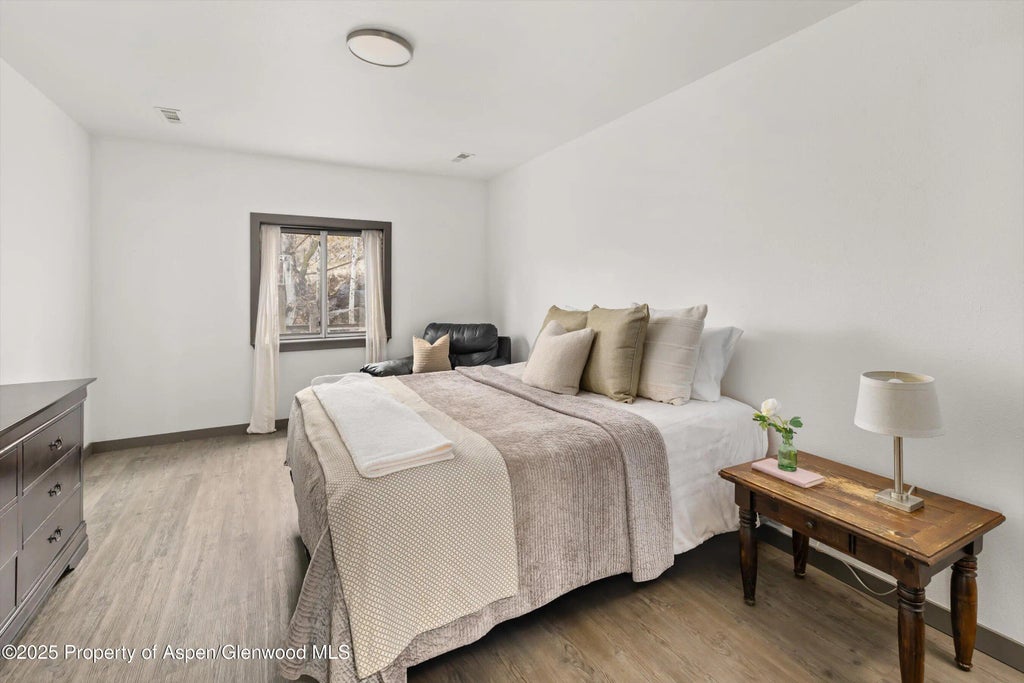 5 of 10 - 156.5 Midland Avenue, Basalt, CO