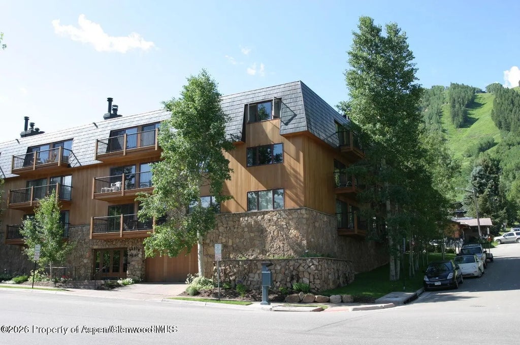 10 of 16 - 205 E Durant Avenue 1-b, Aspen, CO
