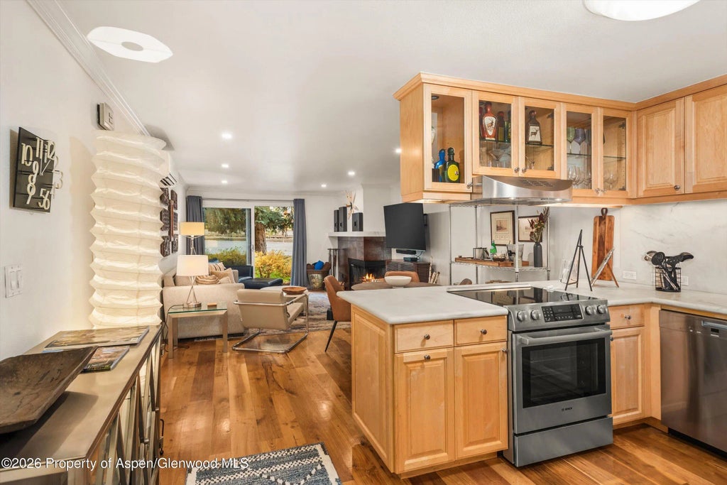 5 of 16 - 205 E Durant Avenue 1-b, Aspen, CO