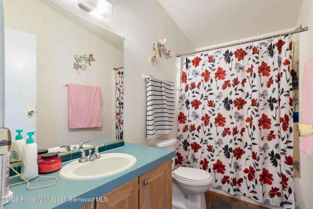 13 of 16 - 203 E Tamarack Circle, Battlement Mesa, CO