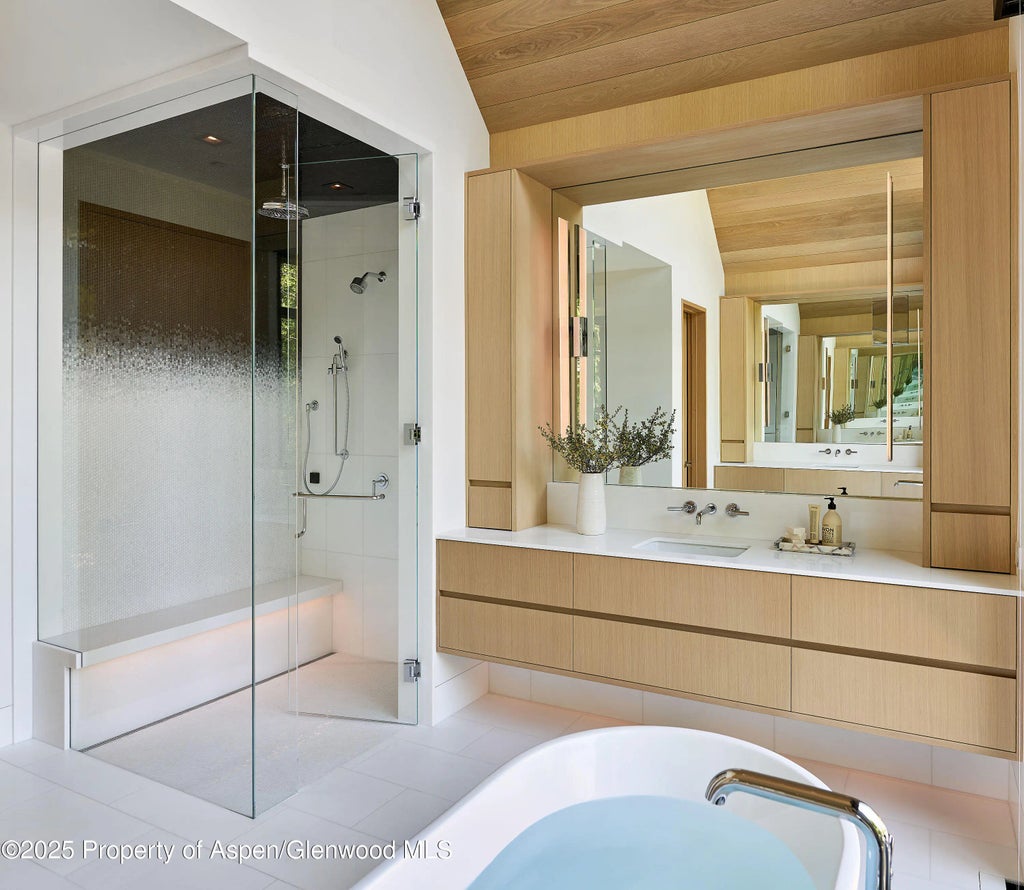 28 of 51 - 810 W Smuggler Street, Aspen, CO