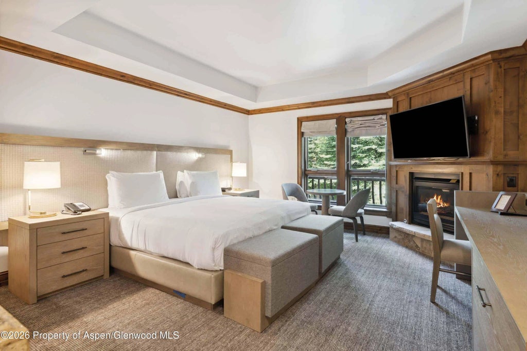 1 of 14 - 415 E Dean Street 23a, Week 8, Aspen, CO