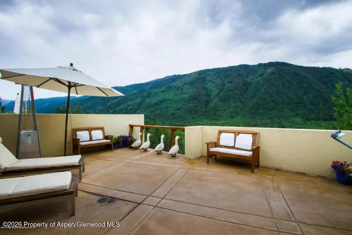 6 of 8 - 250 Mountain Laurel Drive A, Aspen, CO