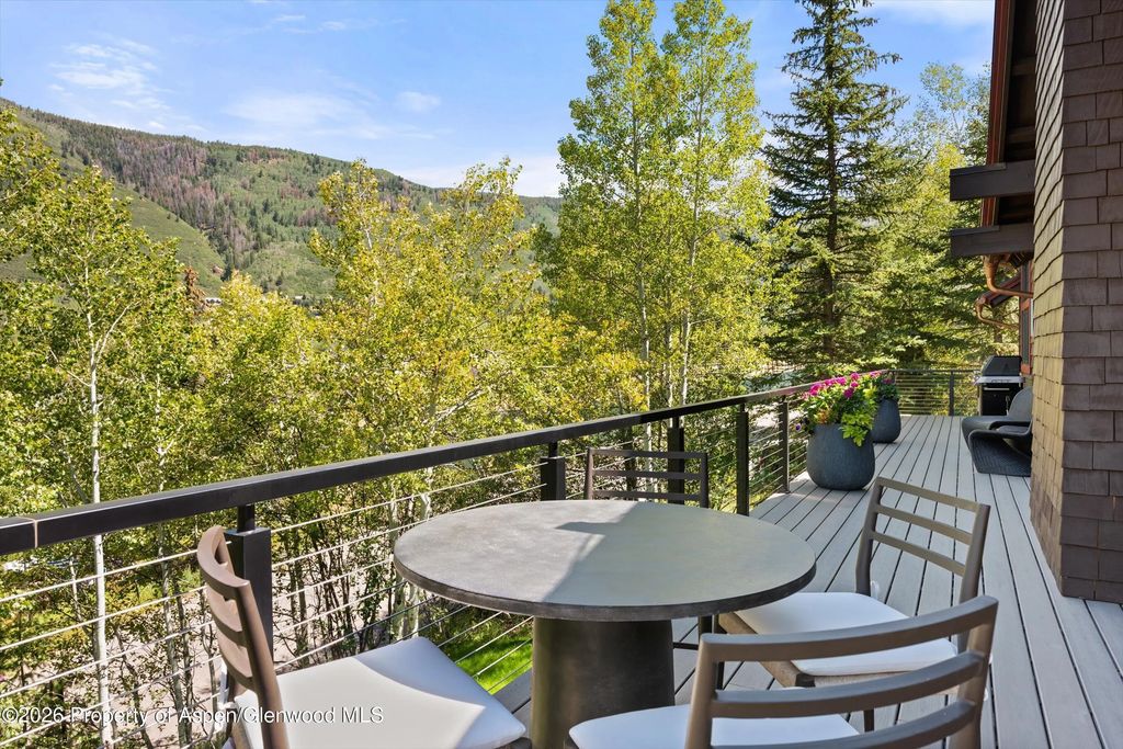 45 of 53 - 1271 Ute Avenue, Aspen, CO