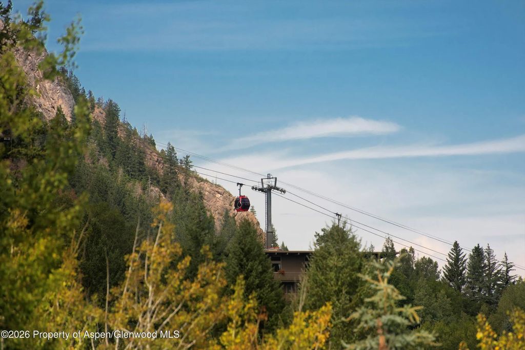 46 of 53 - 1271 Ute Avenue, Aspen, CO