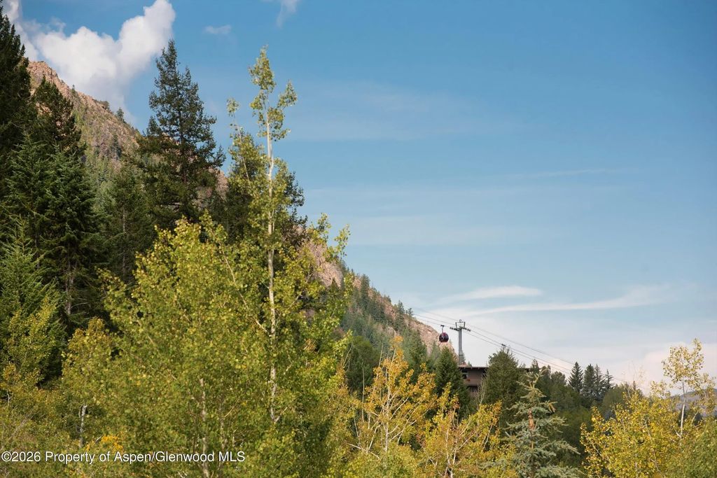 48 of 53 - 1271 Ute Avenue, Aspen, CO