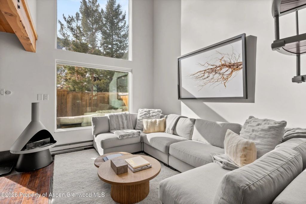 1024 E Cooper Avenue 3a, Aspen