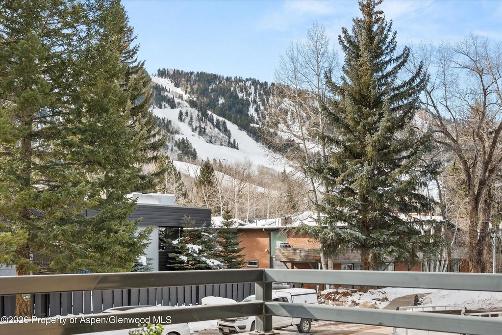 17 of 25 - 1024 E Cooper Avenue 3a, Aspen, CO