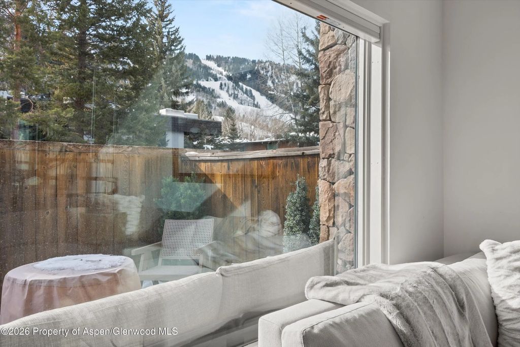 18 of 25 - 1024 E Cooper Avenue 3a, Aspen, CO