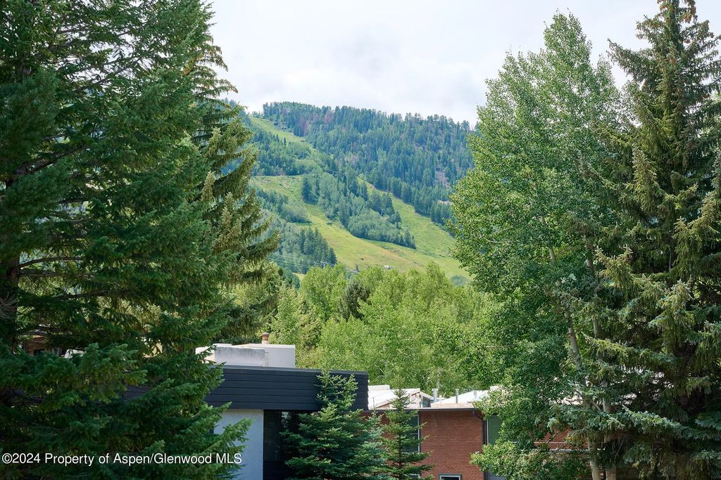 24 of 25 - 1024 E Cooper Avenue 3a, Aspen, CO