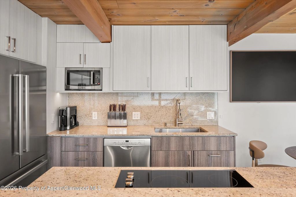 7 of 25 - 1024 E Cooper Avenue 3a, Aspen, CO