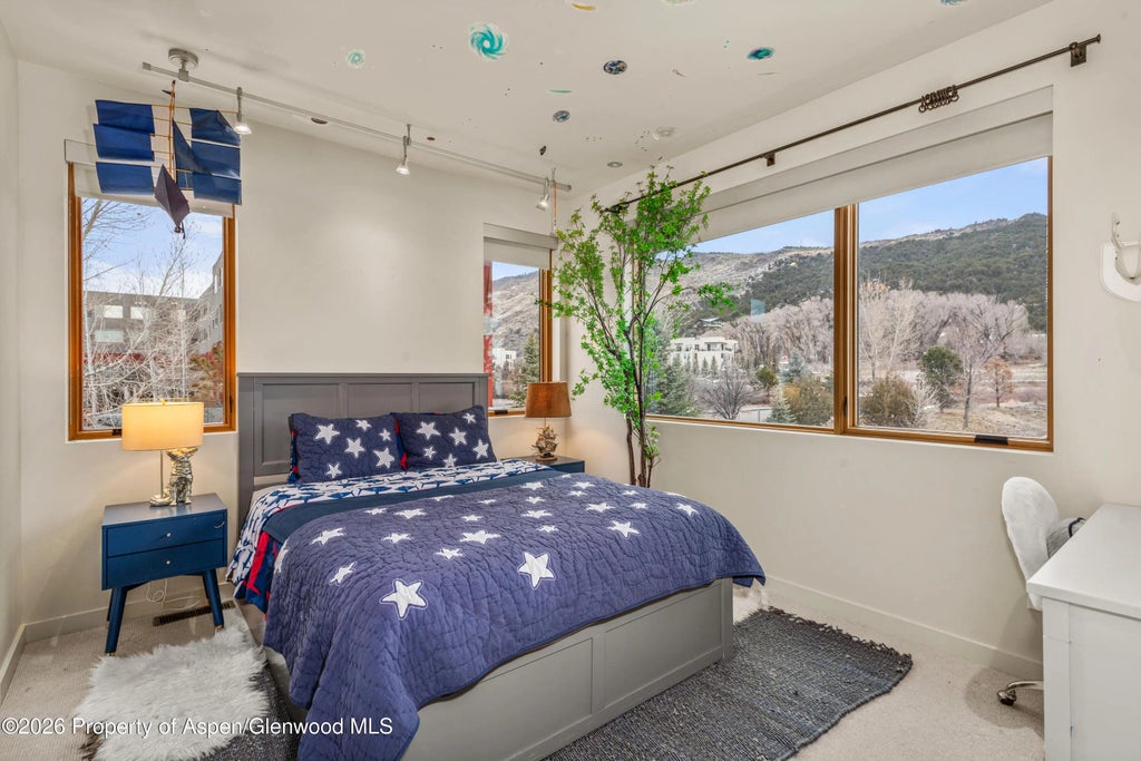 25 of 33 - 113 Valley Court, Basalt, CO