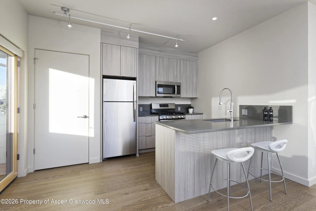 32 of 33 - 113 Valley Court, Basalt, CO