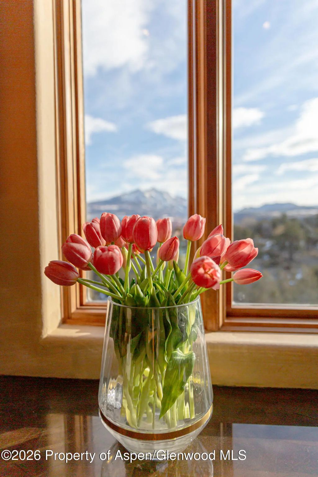 41 of 47 - 328 Los Adobes Drive, Carbondale, CO