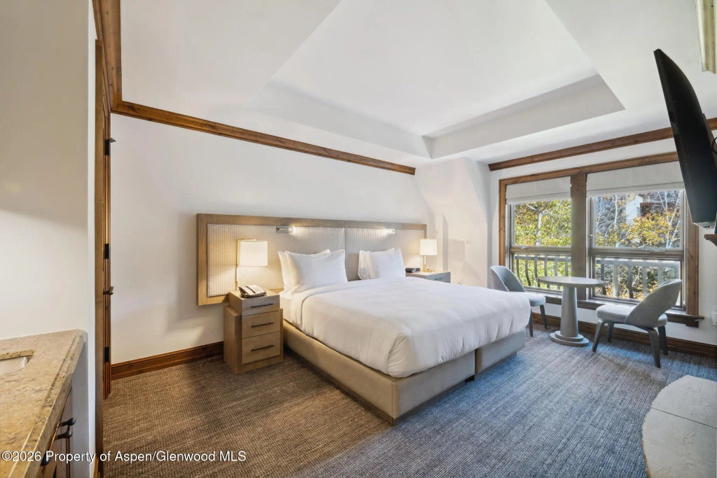 16 of 30 - 415 E Dean St., Unit 35, Week 30, Aspen, CO