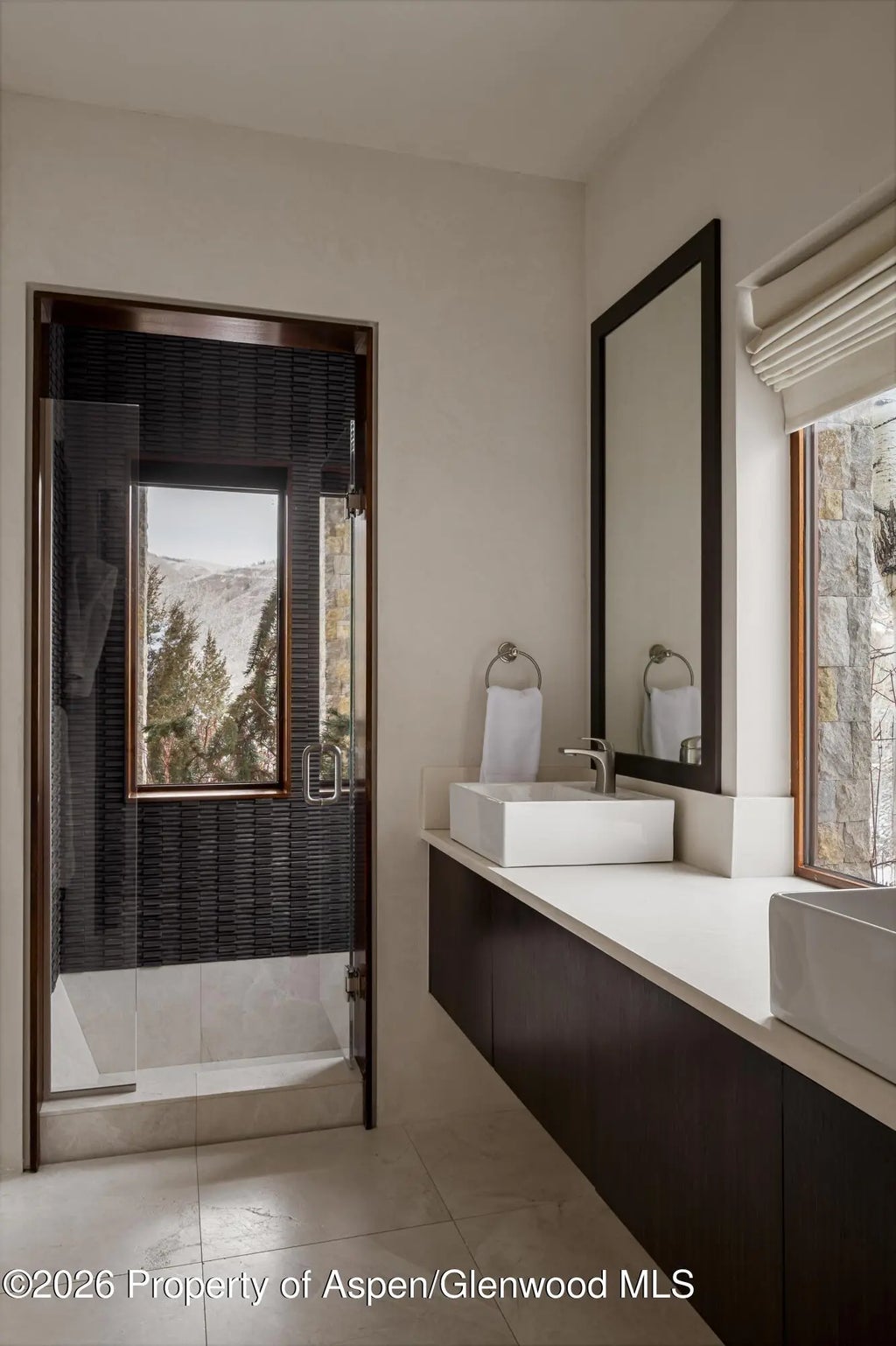 14 of 25 - 1011 Ute Avenue, Aspen, CO