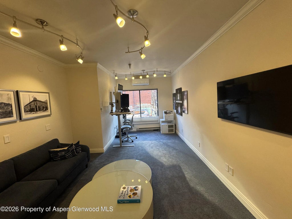 5 of 8 - 533 E Hopkins Avenue 102, Aspen, CO