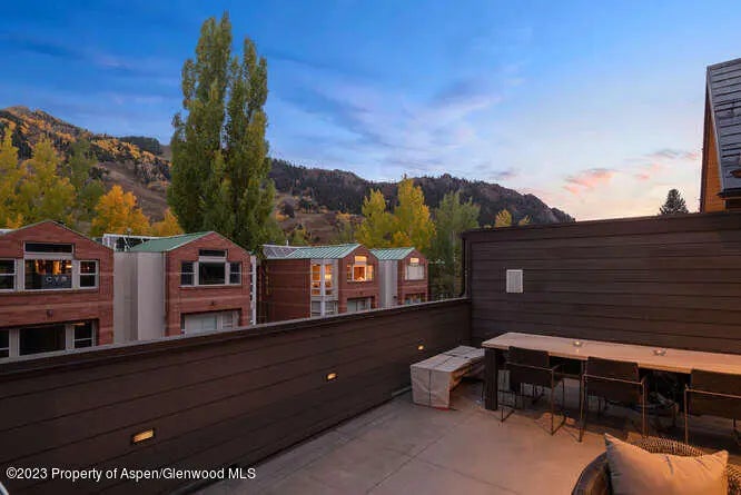 14 of 43 - 719 E Hopkins Avenue 202, Aspen, CO