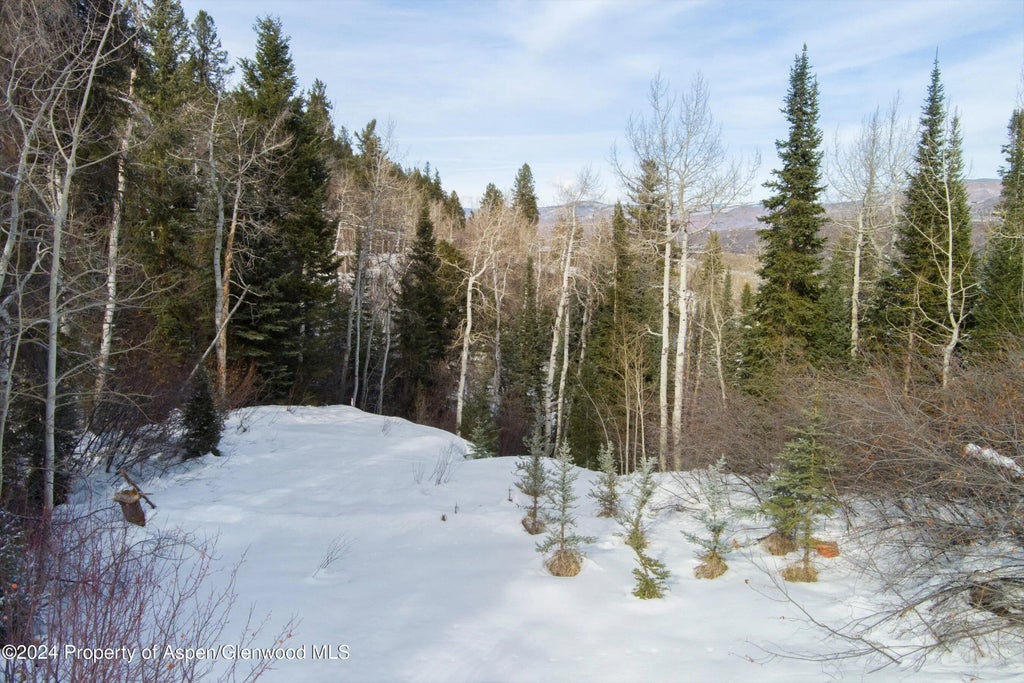 12 of 15 - Tbd Pfister Drive, Aspen, CO
