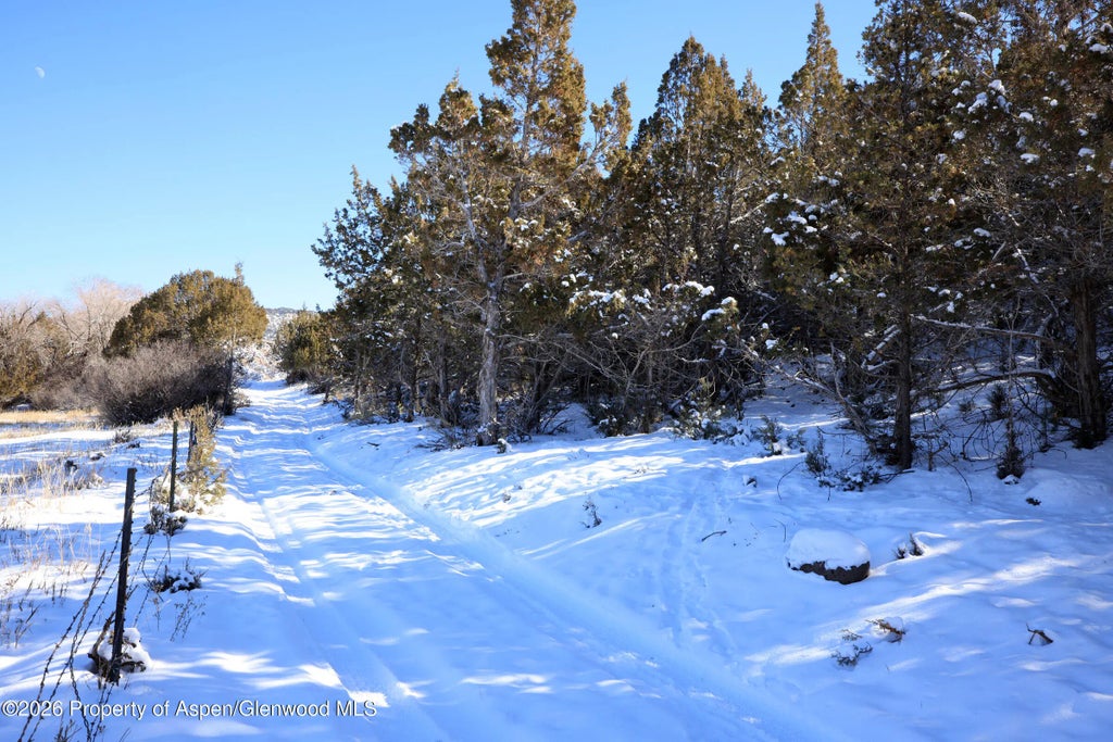 8 of 20 - 555 Glenarm Avenue, Collbran, CO